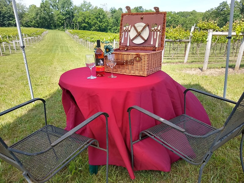 Image of a table, picnic basket, a bottle of Flying Otter wine, and wine glasses overlooking the vineyard at Flying Otter.