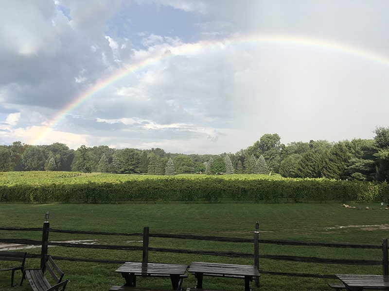 Image of a rainbow over the Flying Otter Vineyard.