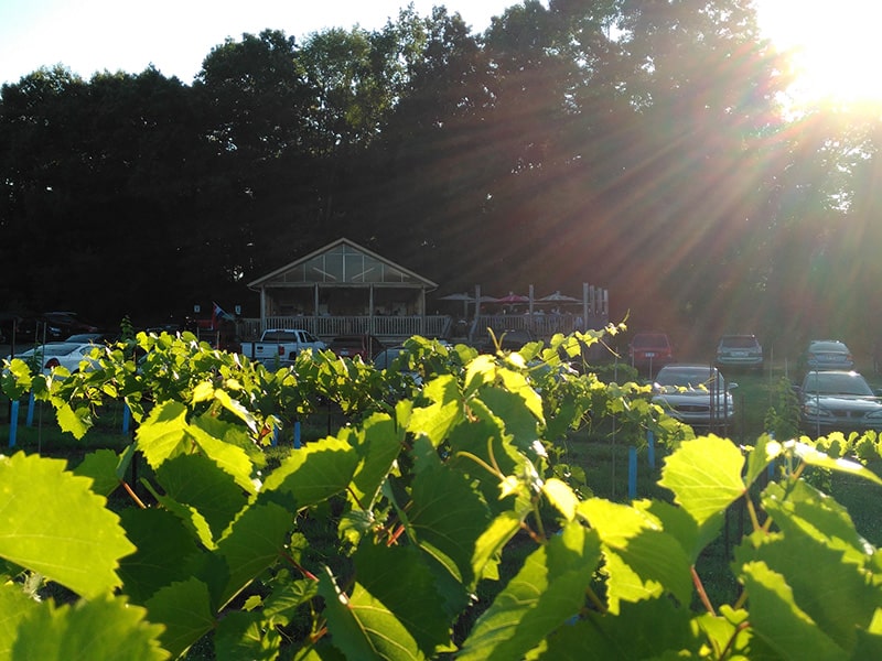 Image of Flying Otter Winery.